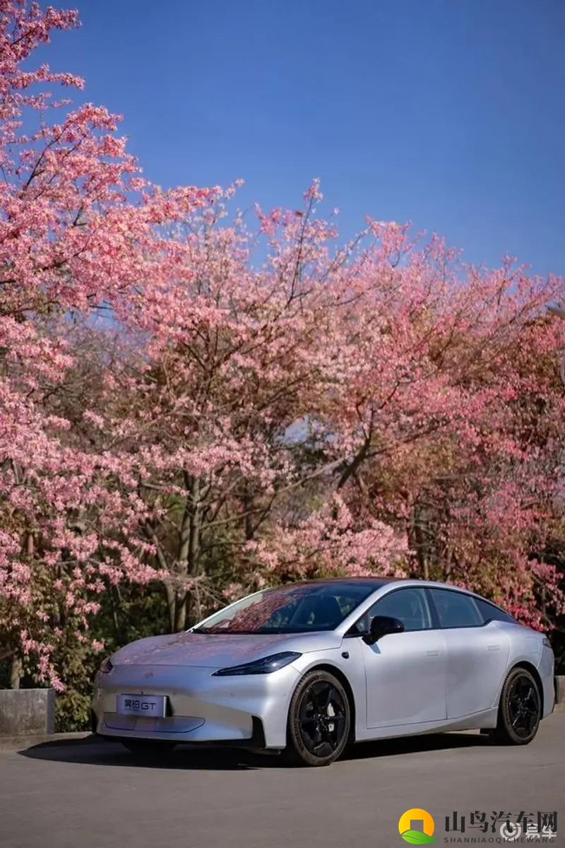 火影成人：忍者世界迈入成熟岁月-1