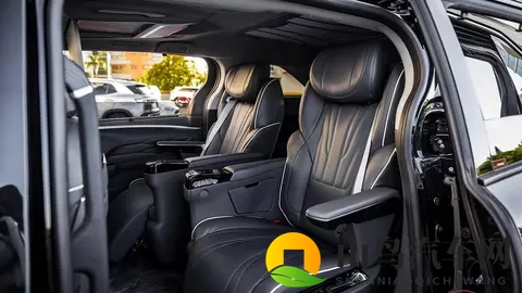 丰田赛那定制版亮相 配冰箱彩电大沙发 豪华感提升-2