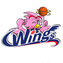 爱信飞翼女篮 爱信飞翼女篮