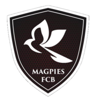 布鲁诺斯喜鹊 布鲁诺斯喜鹊